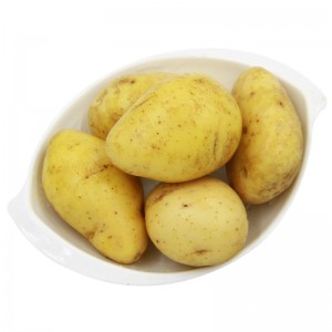 河北黄心土豆2.5斤 简装 新鲜蔬菜