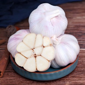 山东金乡大蒜带皮新鲜干蒜净重2斤单果4.5cm起